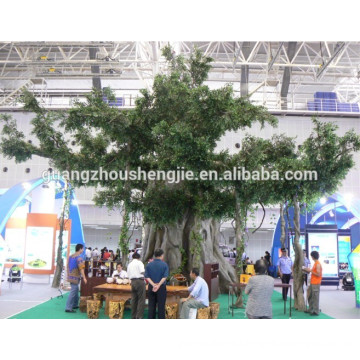 SJ2001041 Indoor ornamental plants with name ficus tree